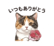 840069007