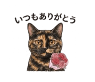 840069017