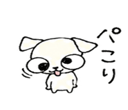 840069555