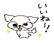 840069556