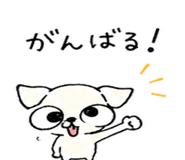 840069558