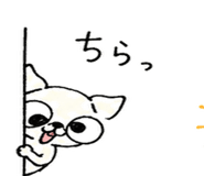 840069560