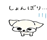 840069568
