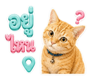 840078689