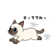 840080057