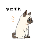 840080059