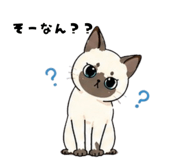 840080061