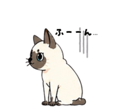 840080063