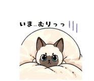 840080066