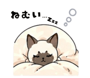 840080074