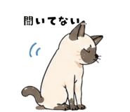 840080086