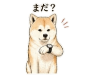 840080880