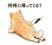 840080881