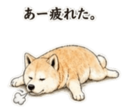 840080883