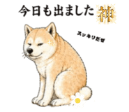 840080887