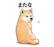840080888