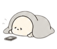 840080900