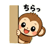 840081204