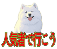 840081481