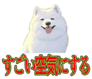 840081482