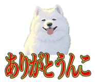 840081483