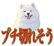 840081484