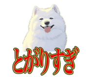 840081485
