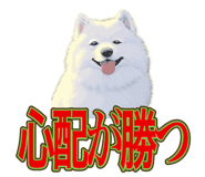840081487