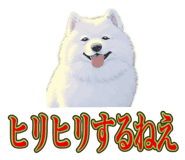 840081490