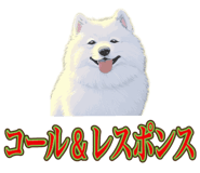 840081493
