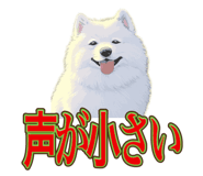 840081494