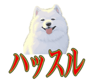 840081495