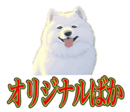 840081496