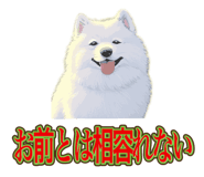 840081497