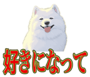 840081498