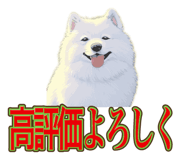 840081499