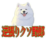 840081502