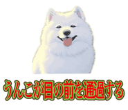 840081504