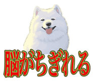 840081505
