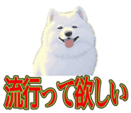 840081508