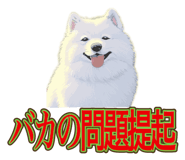 840081510