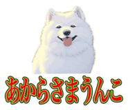 840081512