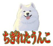 840081513