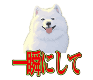 840081515