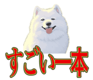 840081516