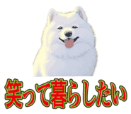840081517