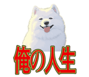 840081520