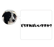 840081603