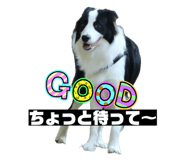 840081605