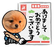 840081623
